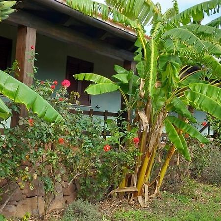 Agriturismo Su Tiresi Cala Gonone Eksteriør billede