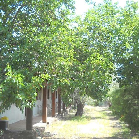 Agriturismo Su Tiresi Cala Gonone Eksteriør billede
