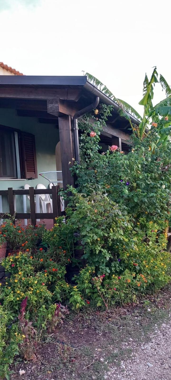 Agriturismo Su Tiresi Cala Gonone Eksteriør billede