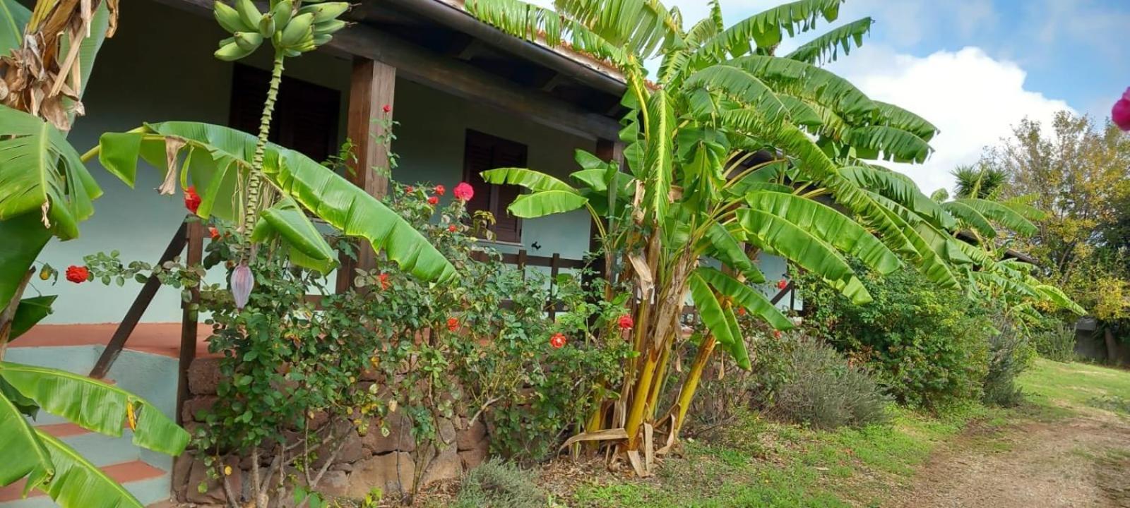 Agriturismo Su Tiresi Cala Gonone Eksteriør billede