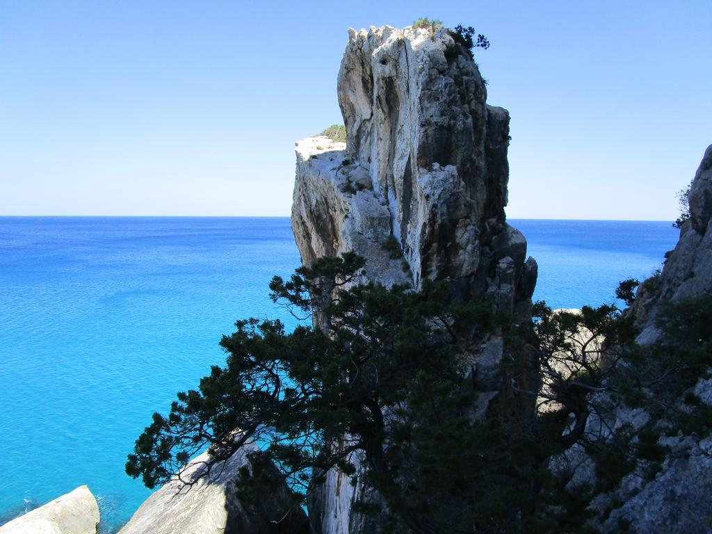 Agriturismo Su Tiresi Cala Gonone Eksteriør billede