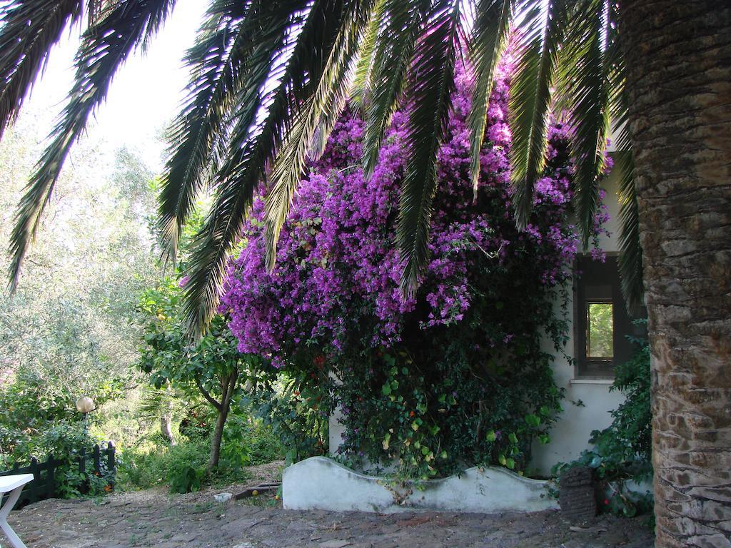 Agriturismo Su Tiresi Cala Gonone Eksteriør billede
