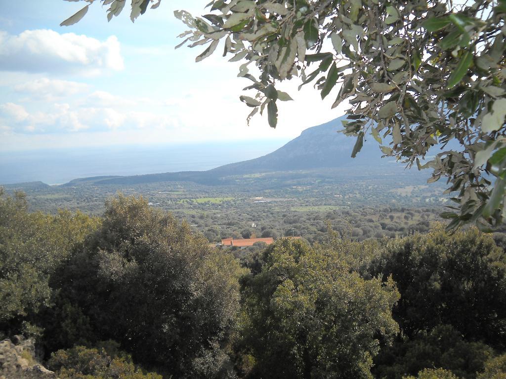 Agriturismo Su Tiresi Cala Gonone Eksteriør billede