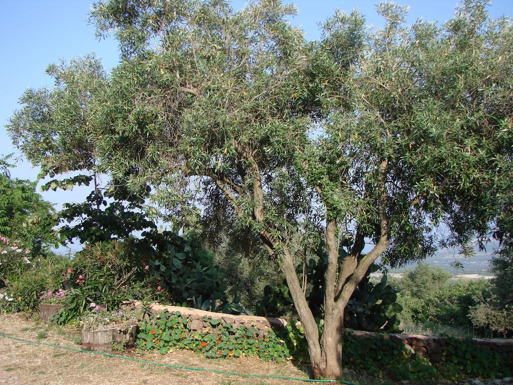 Agriturismo Su Tiresi Cala Gonone Eksteriør billede