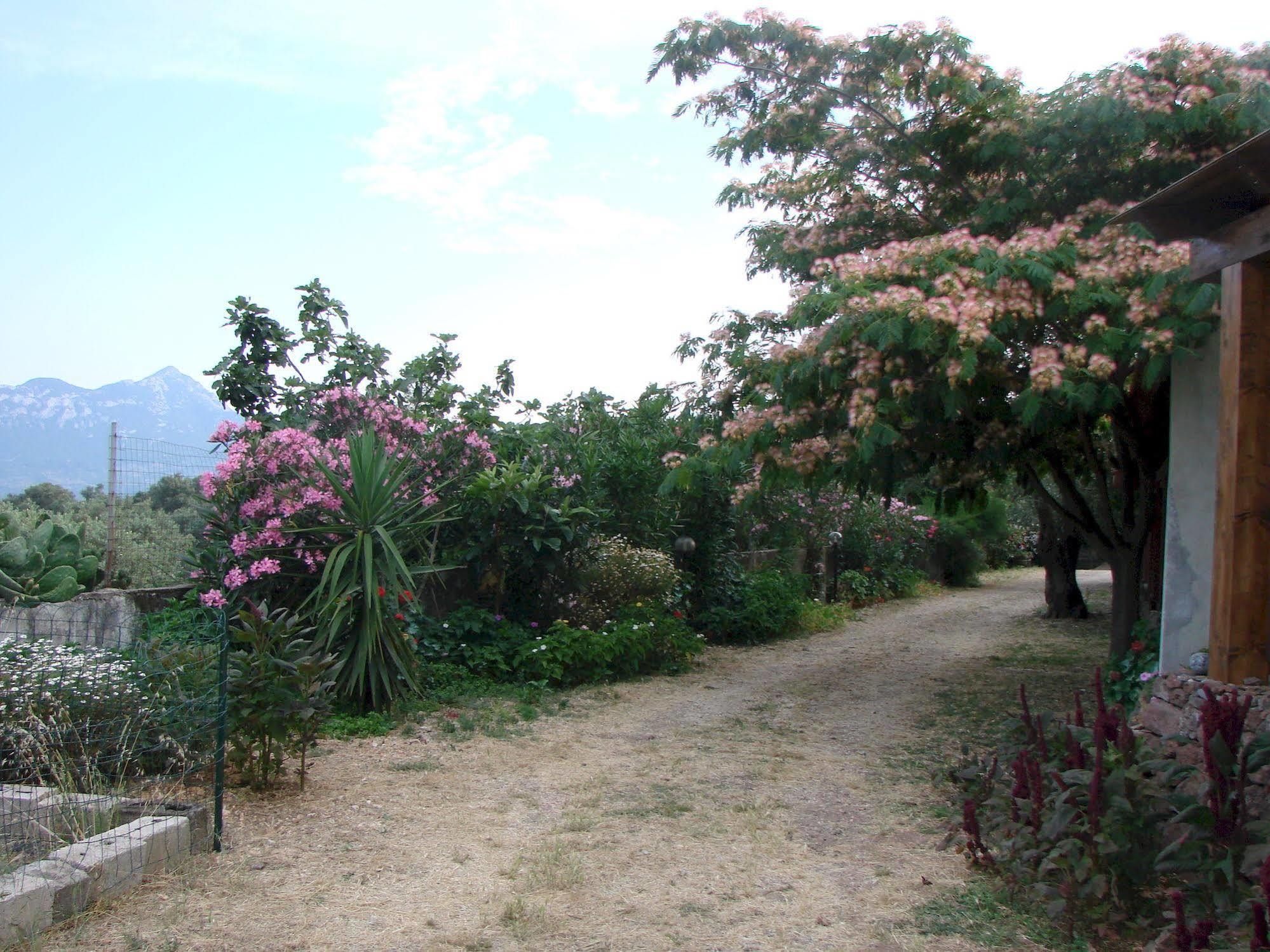 Agriturismo Su Tiresi Cala Gonone Eksteriør billede