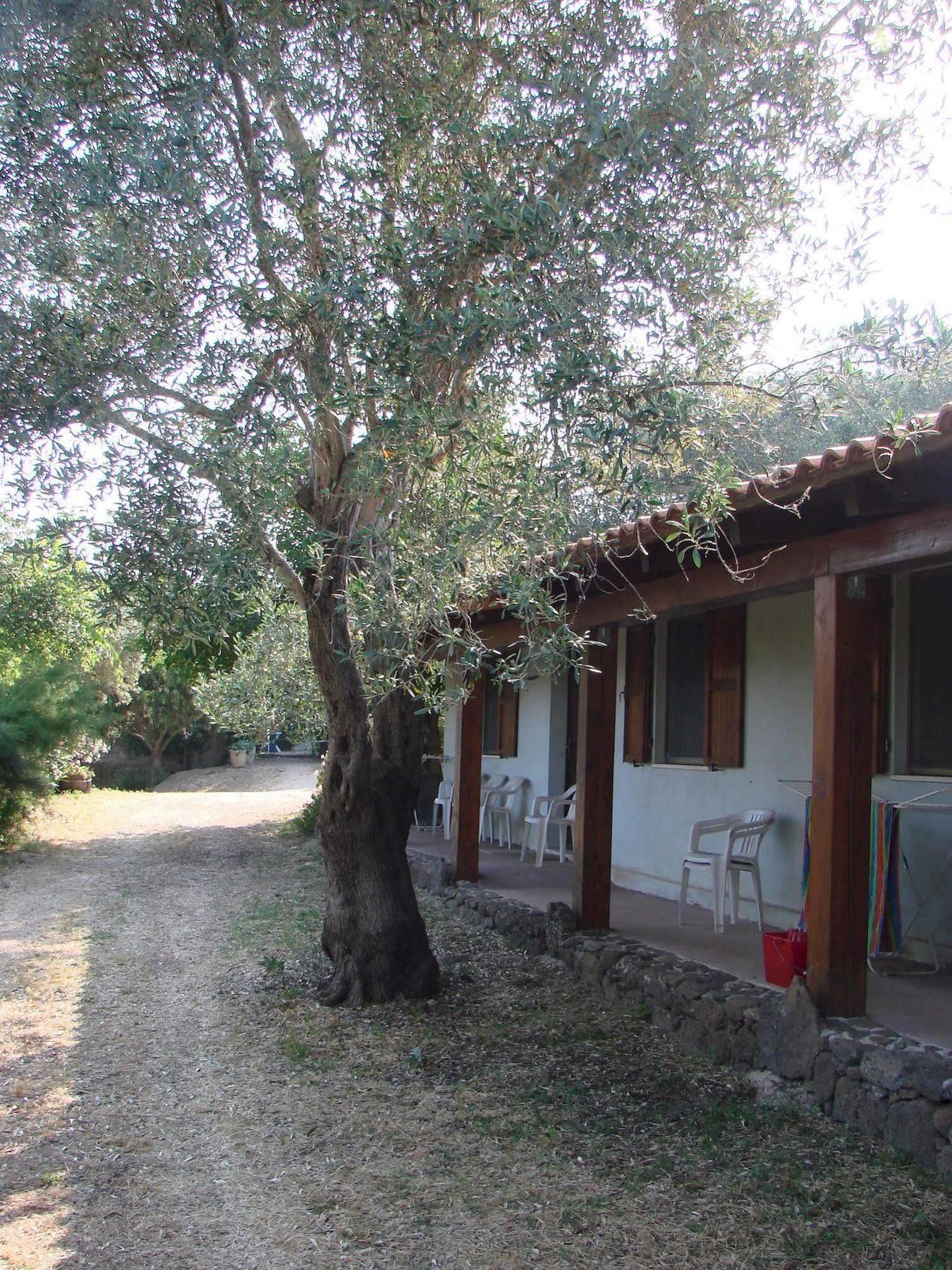 Agriturismo Su Tiresi Cala Gonone Eksteriør billede