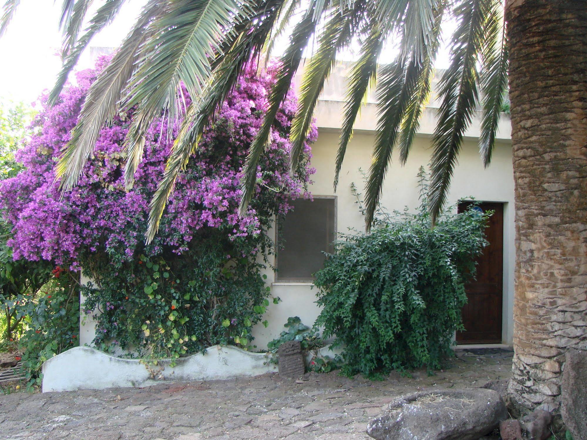 Agriturismo Su Tiresi Cala Gonone Eksteriør billede