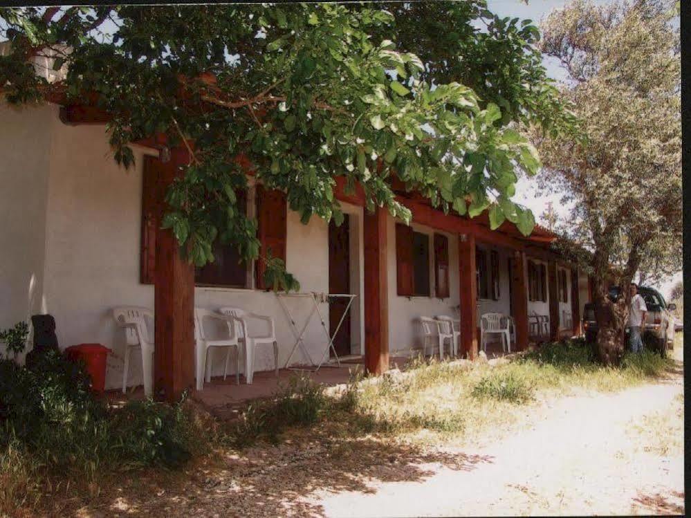 Agriturismo Su Tiresi Cala Gonone Eksteriør billede