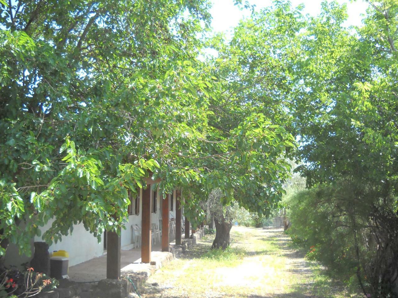 Agriturismo Su Tiresi Cala Gonone Eksteriør billede