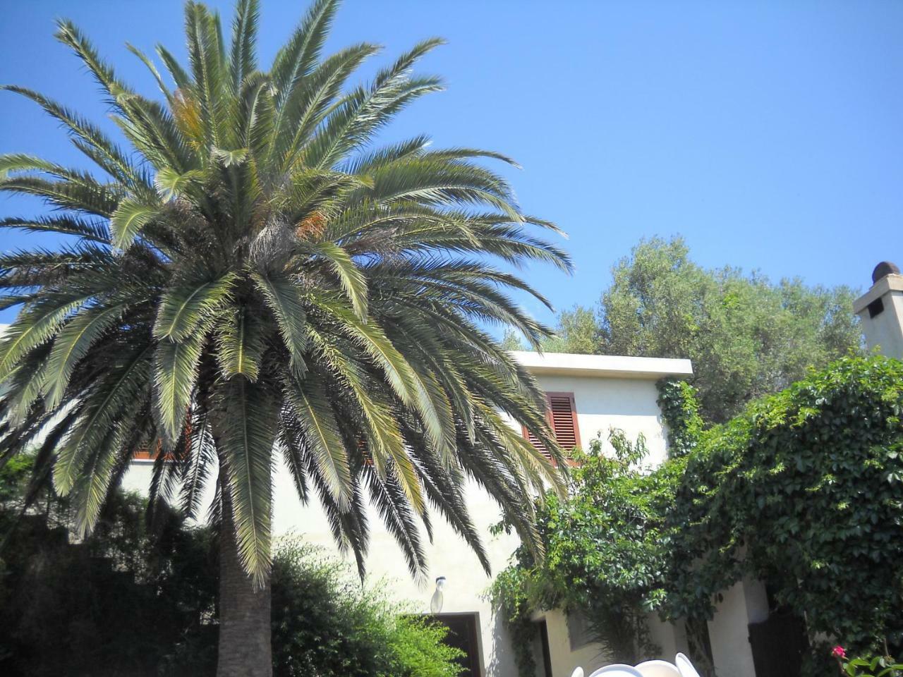 Agriturismo Su Tiresi Cala Gonone Eksteriør billede